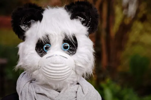 Hot Line Casino Support